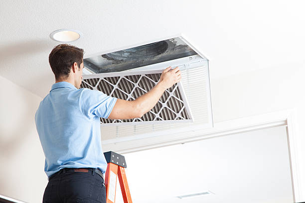 Best Air Filters and Purifiers in Ripley, WV