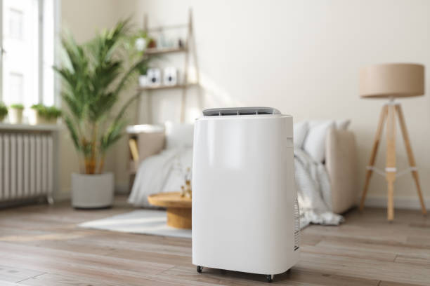 Best Energy-efficient HVAC Solutions in Ripley, WV